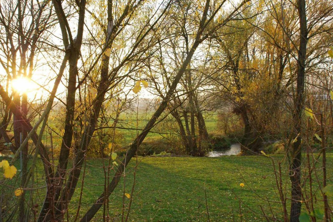 Pension "Bayerwald" Frauenau Exterior photo